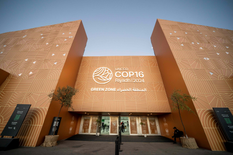 COP16