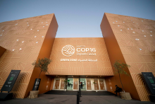 COP16